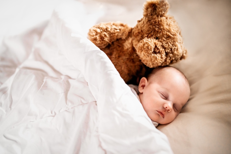 Newborn Photographer, baby sleeping in bed with teddy bear